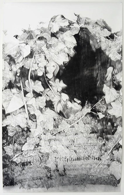 Houtskool op papier, 152x235 cm.