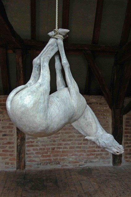 Hangend Paard, Miriam Knibbeler